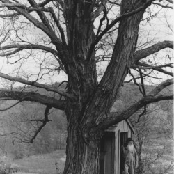 Soul of the Wallkill